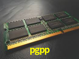 pgpp,pgpp.com