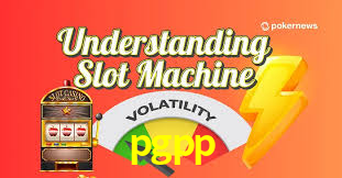 pgpp,pgpp.com