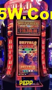 Premium Interface pgpp